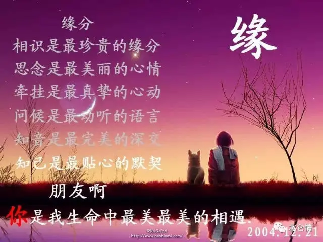 最靠谱的缘分（文/奇石）……莲叶之珠文学社（图4）