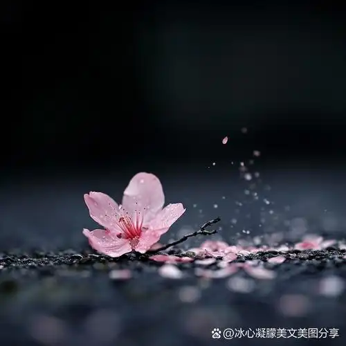 卫水洲的《自己才是人生舞台上的主角，千万不要指望别人来演绎你的精彩》（图2）