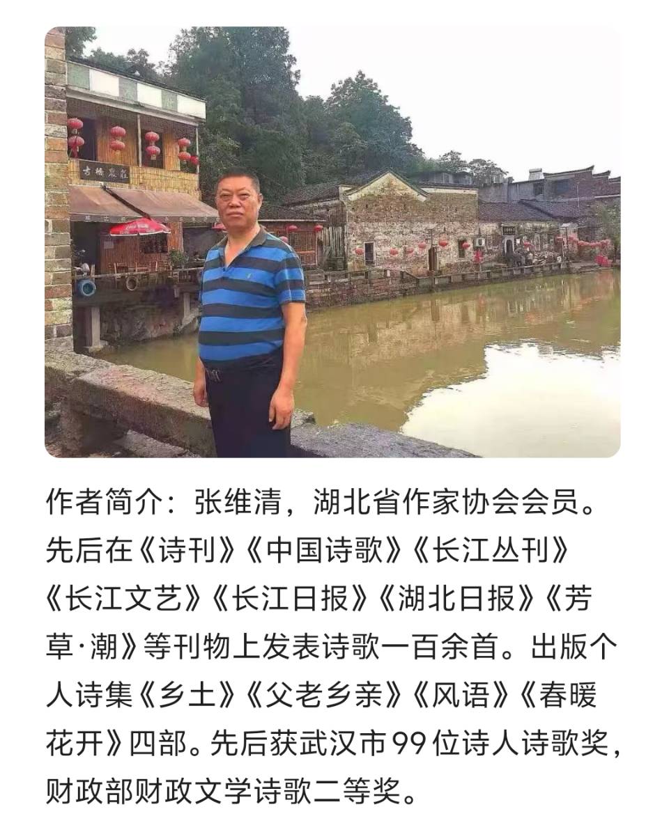 【有声】张维清：桃花‖主播：微澜（图3）