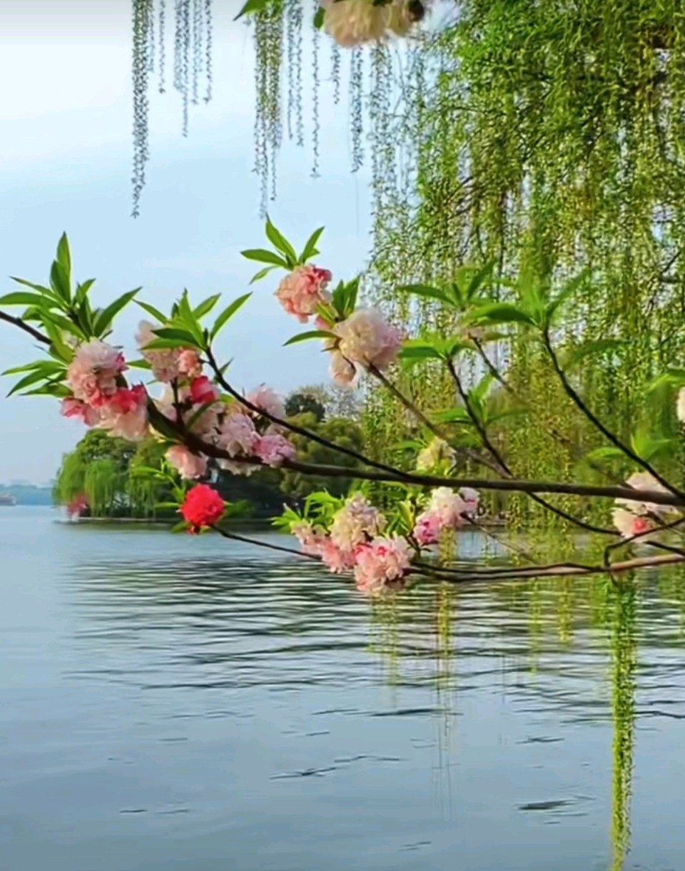 《春风》 吉耀国（吉林）（图4）