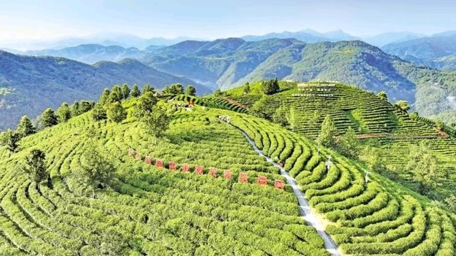 【快乐一家人】群英荟萃隆重推荐(图12)