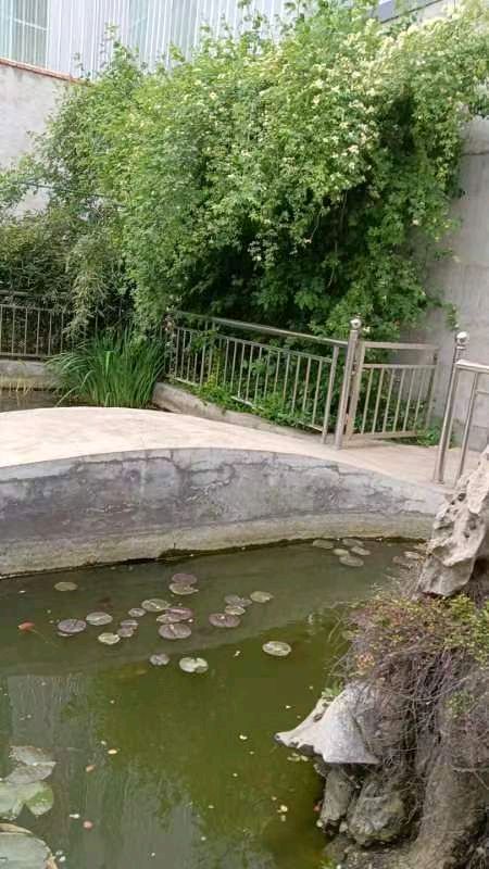 【快乐一家人】群英荟萃隆重推荐(图11)