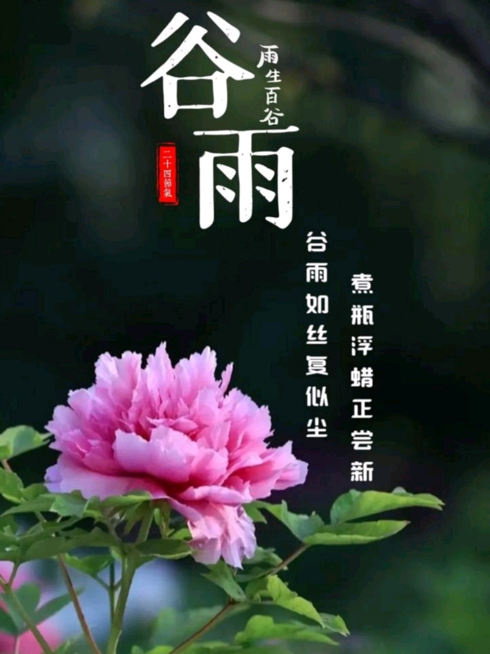 《九江文学社：北京头条》薛有毅先生《乙巳谷雨》专辑（图2）