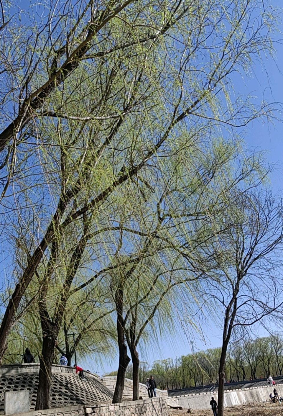 天门市诗词楹联学会应邀赴潜江市参观学习采风交流 【天门头条】(图2)