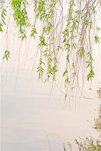 【名家精品】敬请欣赏||朱四明律诗十首（湖北汉川）专辑（图15）