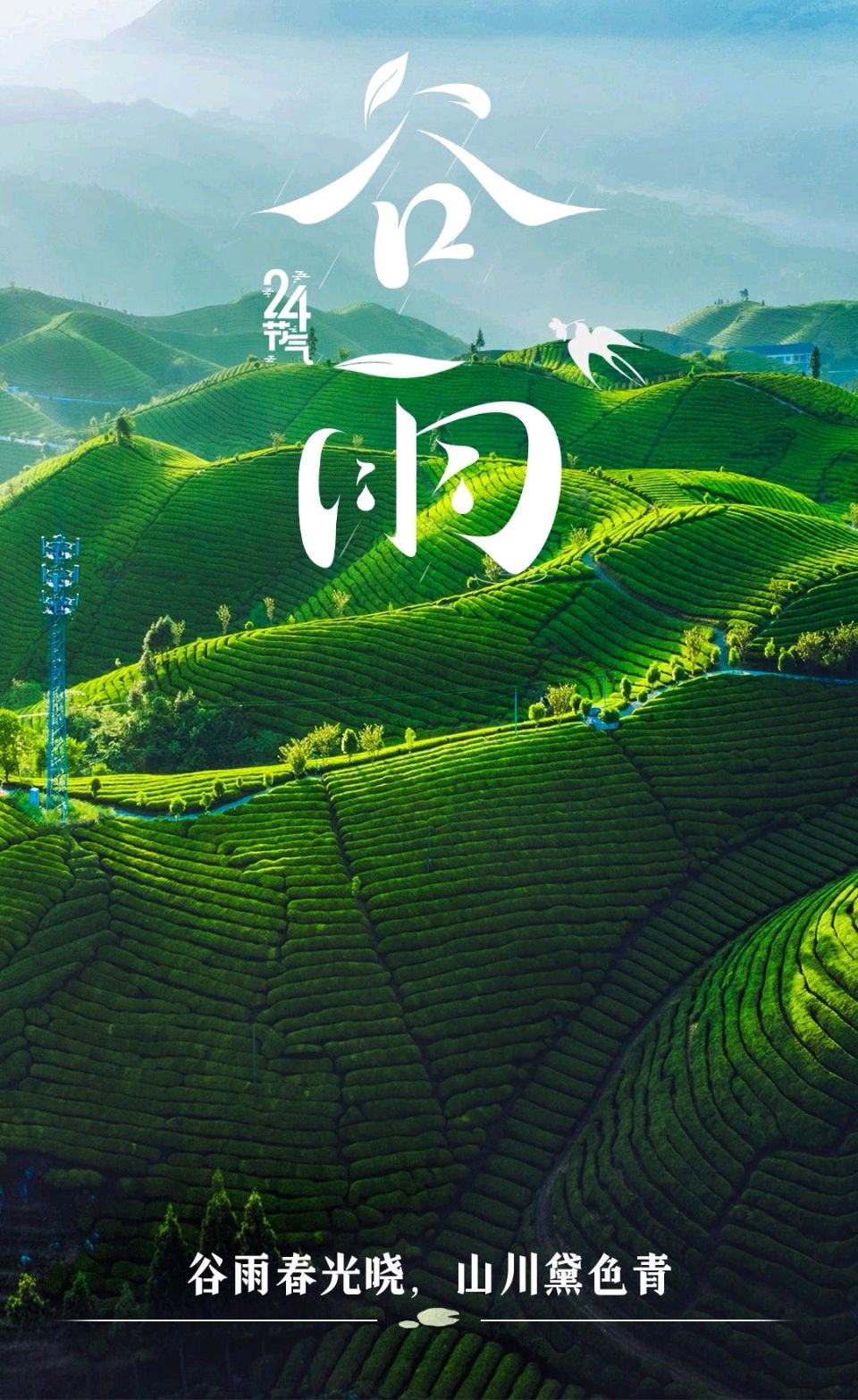 谷雨（外一首）诗◑旗袍（图17）
