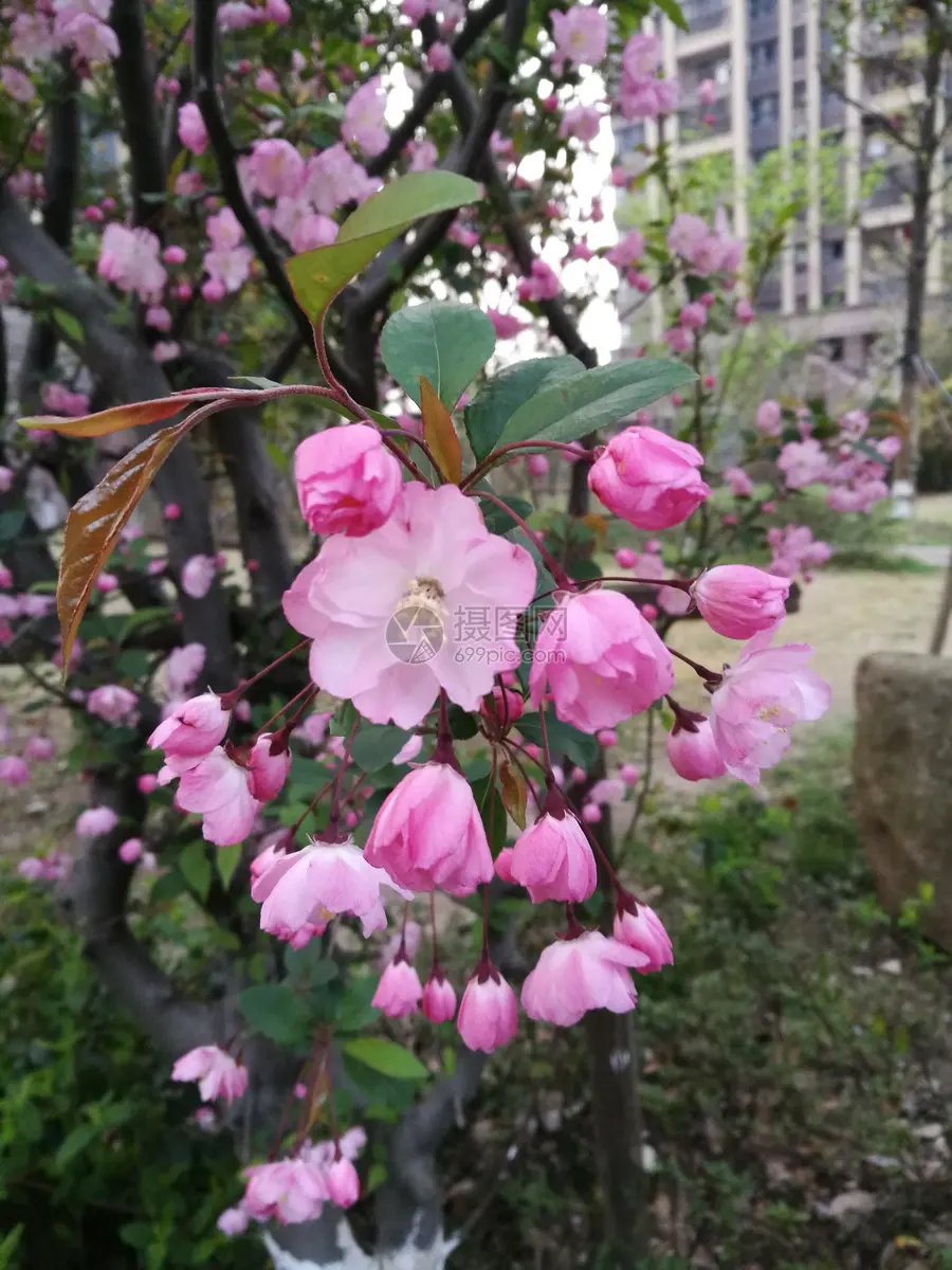 神经导能疗法 意义重大 任重道远(文/孙述考)/擎健康火炬 劈医学新途(文/王保江)……莲叶之珠文学社(图4)