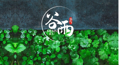 孙_毅：谷雨_领略雨中长安城气派_——谷雨与唐诗经典文化交融