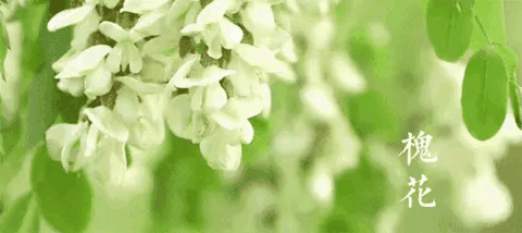 《现代诗人现在诗二首》作者：涧石 [中国现代诗歌文化传媒推荐]（图6）