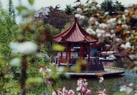 学习上乘医术 护卫身体健康/游青岛中山公园记(文/孙述考)/掌握导能疗法 守护身体健康(文/王保江)……莲叶之珠文学社(图6)