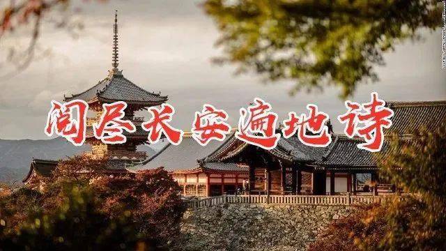 同题诵《阅尽长安遍地诗》（下） 作者 碑林路人（图14）