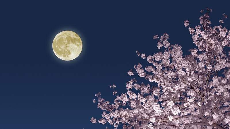 布衣//黄莉端诵读《月迹》节选 作者：贾平凹（图7）