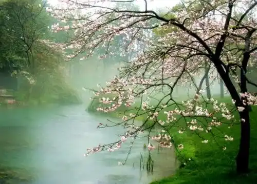 五律·暮春 作者:王省南（浙江杭州）（图2）