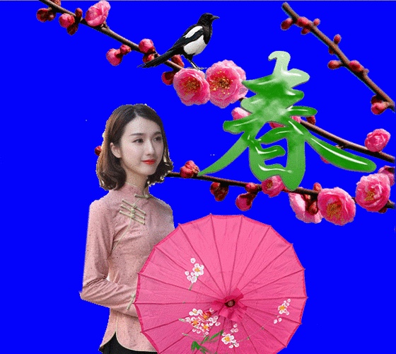 ［情诗速递］你是我的春天//文/赵玉莲