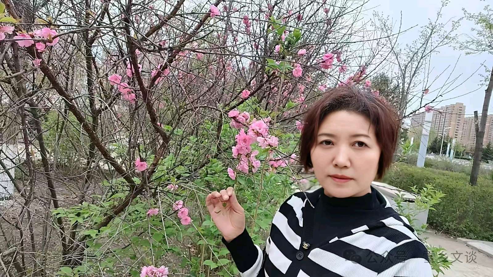 徐小荃：哈达村红土崖遐思 ‖ 宁古塔作家网