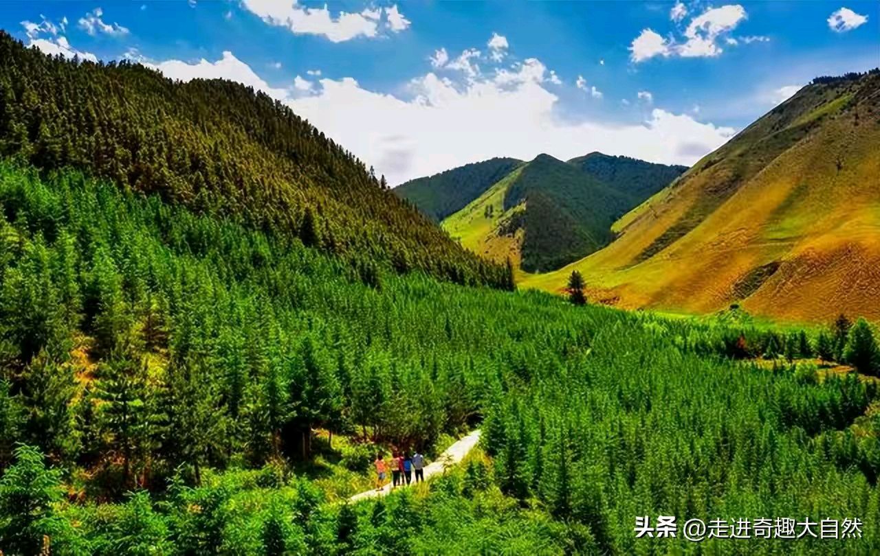 《诗人回泉山人现代诗新作》作者：回泉山人 [中国现代诗歌文化传媒推荐]（图9）