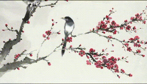 清平乐·问梅【中华新韵李白体】 作者:田淑荣（图2）