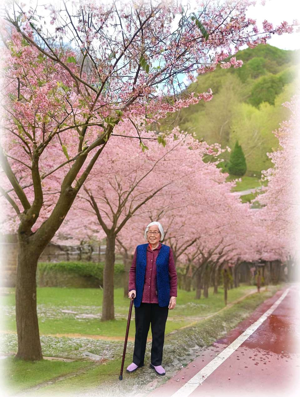 黄玉香：一树花开三十年（图2）