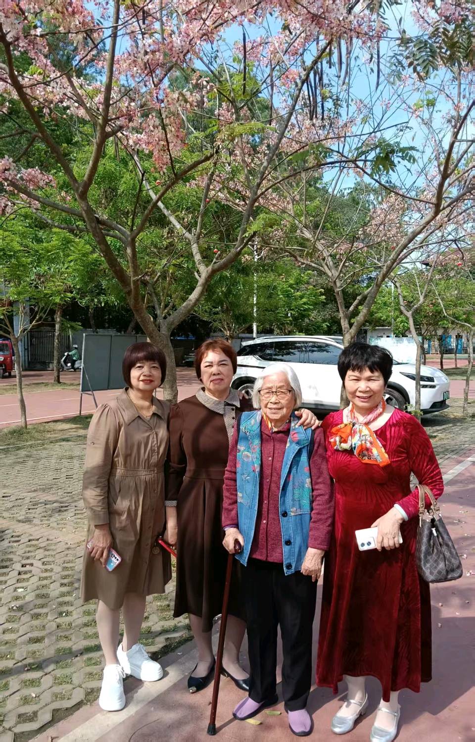 黄玉香：一树花开三十年（图7）