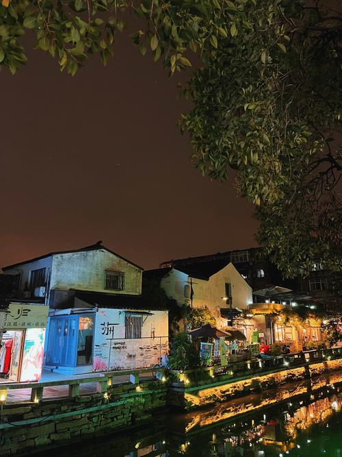 同题诵《平江路的夜》(下) 作者:碑林路人(图12)