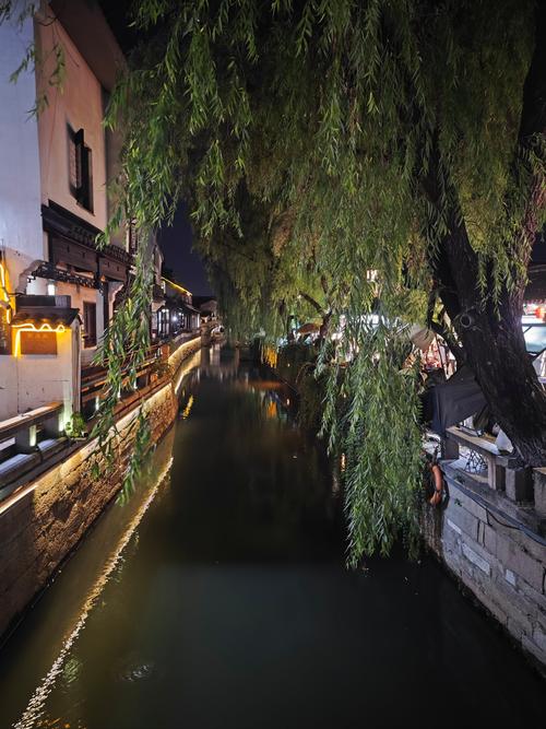 同题诵《平江路的夜》(下) 作者:碑林路人(图14)