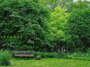 《静听阿勒泰的春雨》作者/天河 主播/杨丽 主编/胡琴（图5）