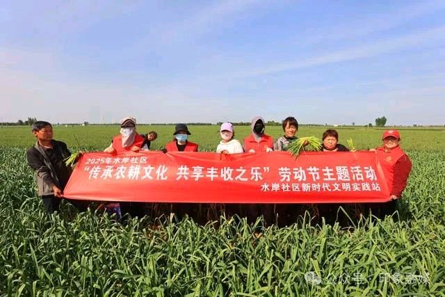 水岸社区开展“传承农耕文化 共享丰收之乐”劳动节主题助农采摘