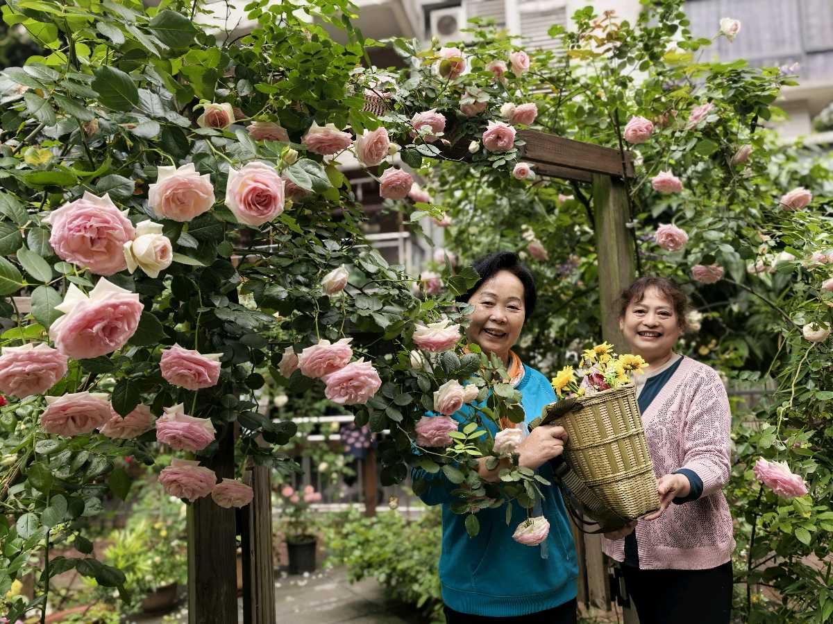 「散文」春满云满庭（图10）