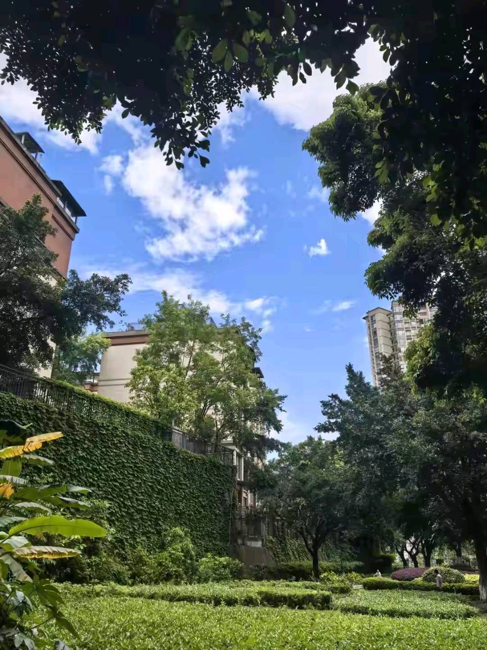 「散文」春满云满庭（图17）