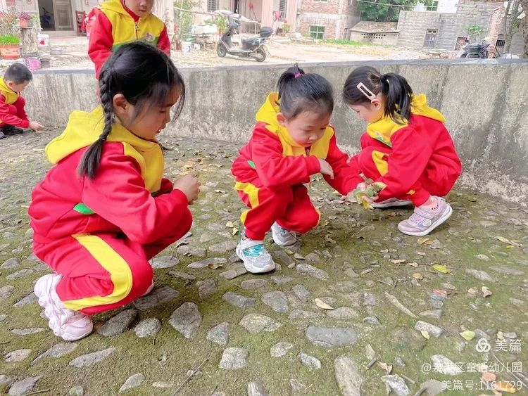 泉港区童话幼儿园系列诗选之⑤诗◑雅轩琴韵（图16）