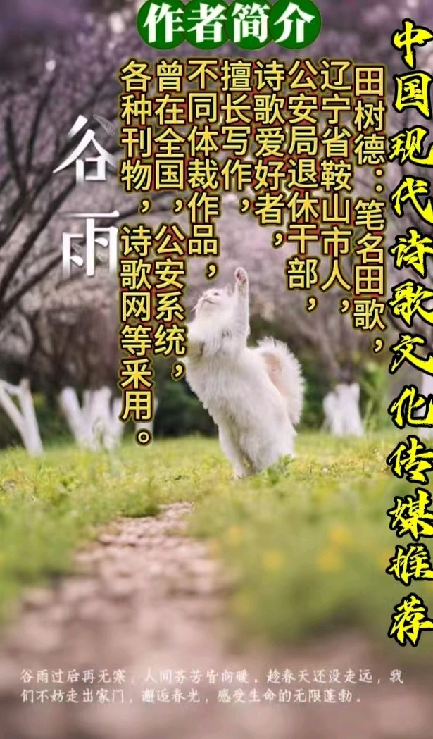 《黄昏恋》作者：田歌 [中国现代诗歌文化传媒推荐]（图7）