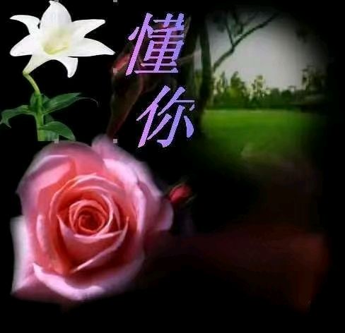 《心境现代诗二首》作者：心境 [中国现代诗歌文化传媒推荐]（图7）