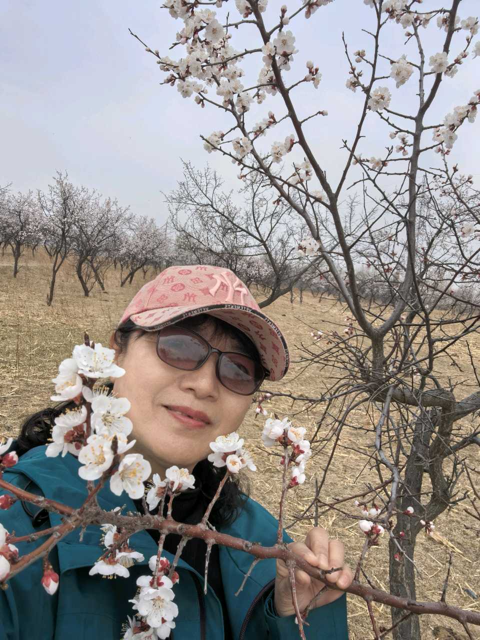 杏花烂漫时——踏春回乡～诗||王乌兰（图13）