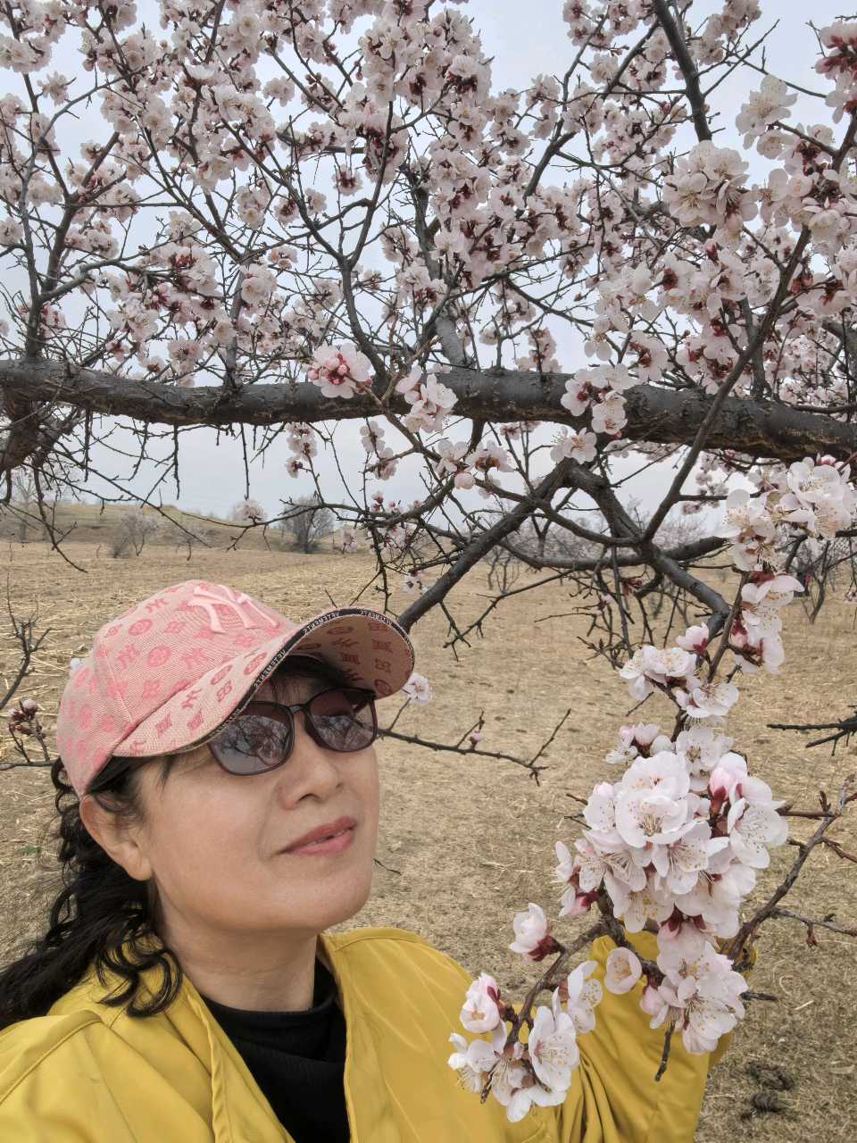 杏花烂漫时——踏春回乡～诗||王乌兰（图8）