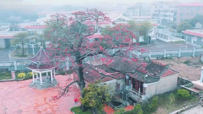 七律-刘涛湄屿祈愿（外一首）诗◑雅轩琴韵（图24）
