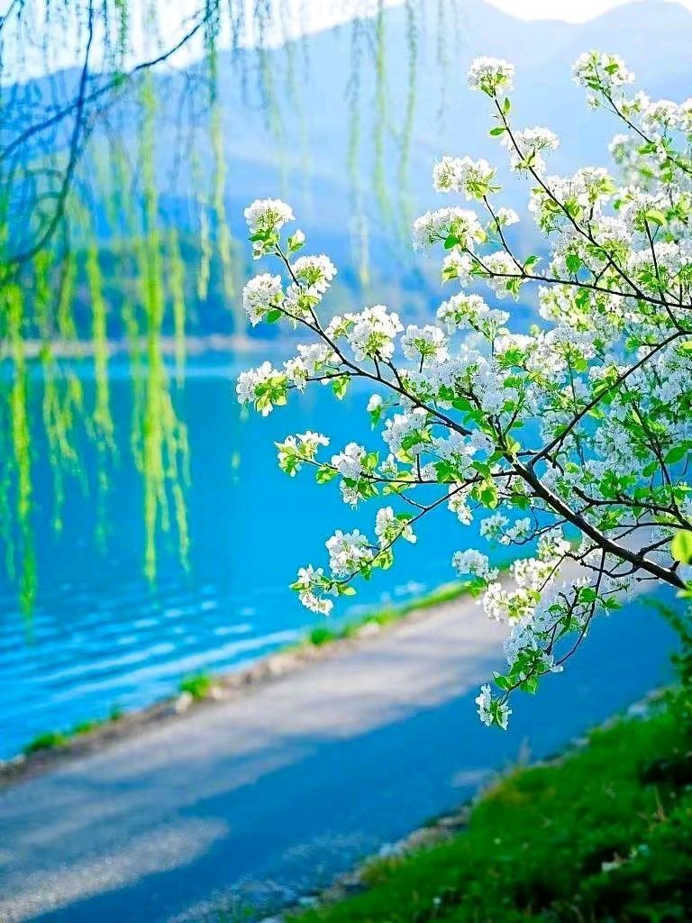 【荣耀中国】七律·立夏李静(辽宁丹东)(图13)