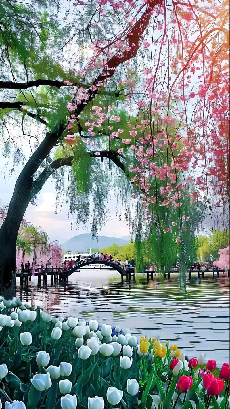 【都市文坛撷英】请欣赏黄选雍诗歌(图11)