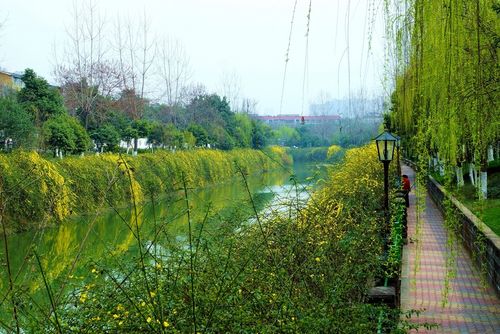 同题诵 《春光里》 作者：碑林路人（图14）