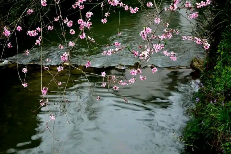 七绝·暮春溪行《外一首》 作者:王建（图3）