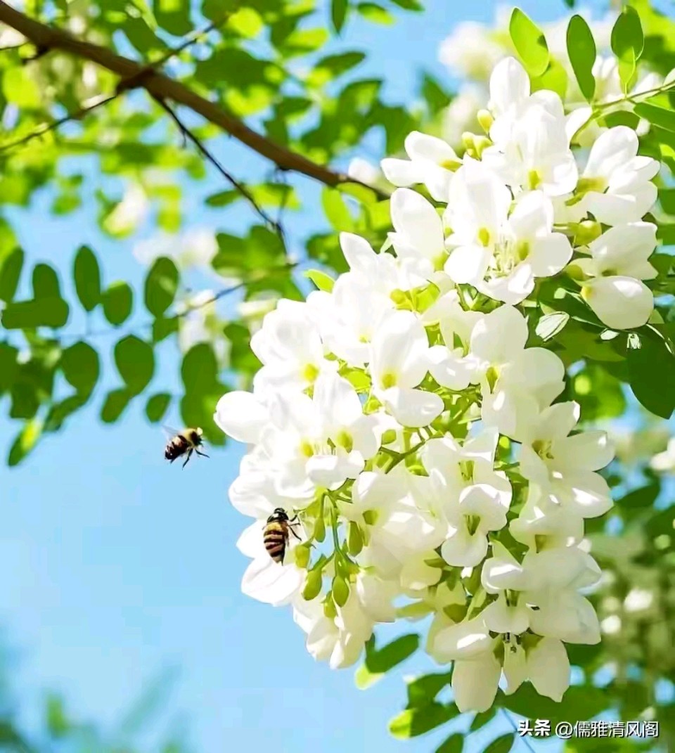 【故道文化】总第6716期合集（图9）