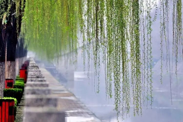 【枫雅汇看图约诗】诗人空谷幽兰专辑(图15)