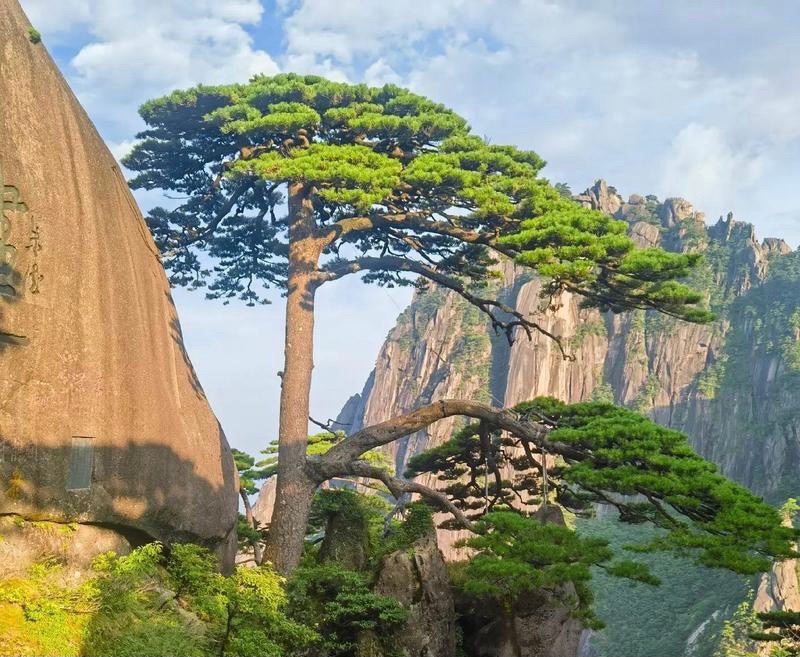 【新诗大观】念奴娇•游黄山||文/谢爱民（图2）