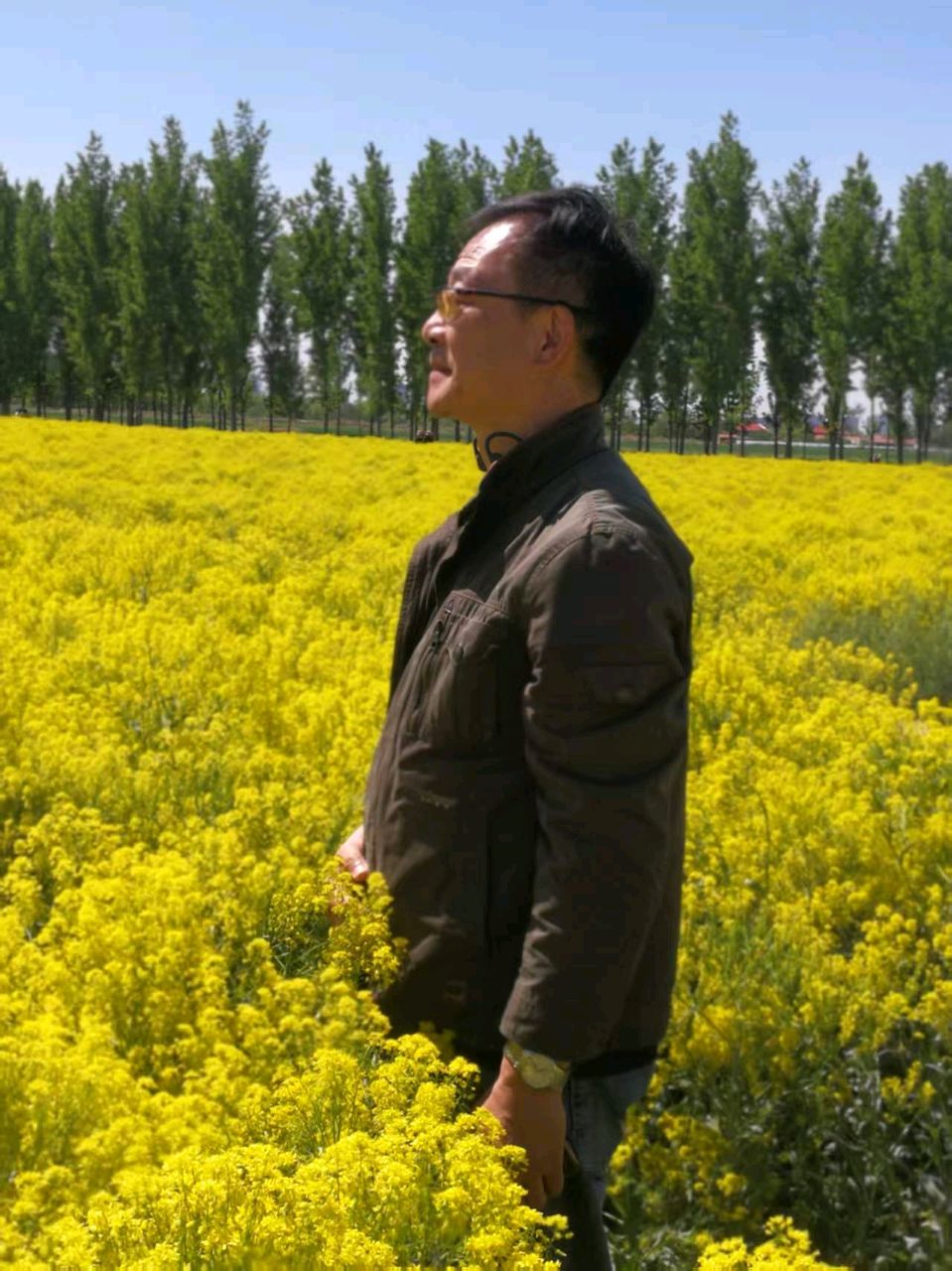 【都市头条向幸福出发编辑部】第13469期 观板蓝根花感想（图2）