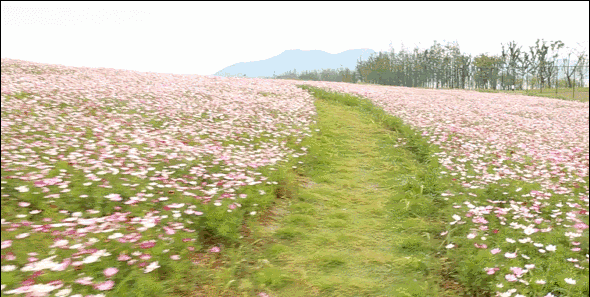 【神都诗社】第121期《初夏》(图13)