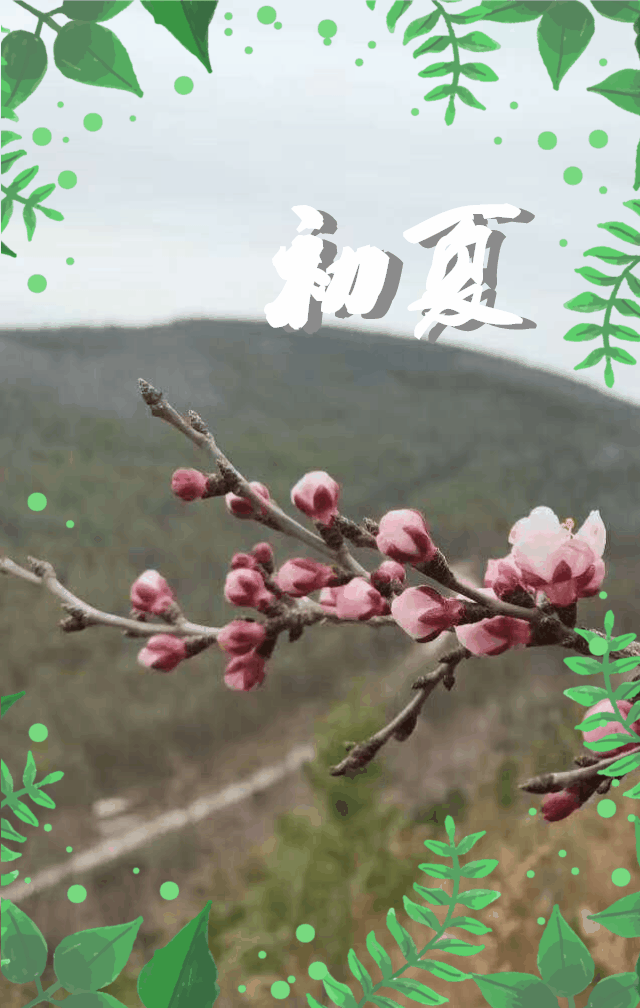 【神都诗社】第121期《初夏》(图17)