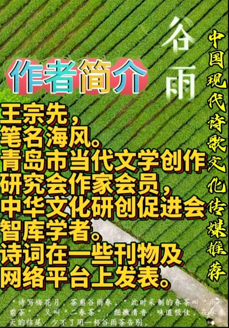 《王宗先现代诗人现代古诗词牌赏析》作者：海风 [中国现代诗歌文化传媒推荐]（图10）