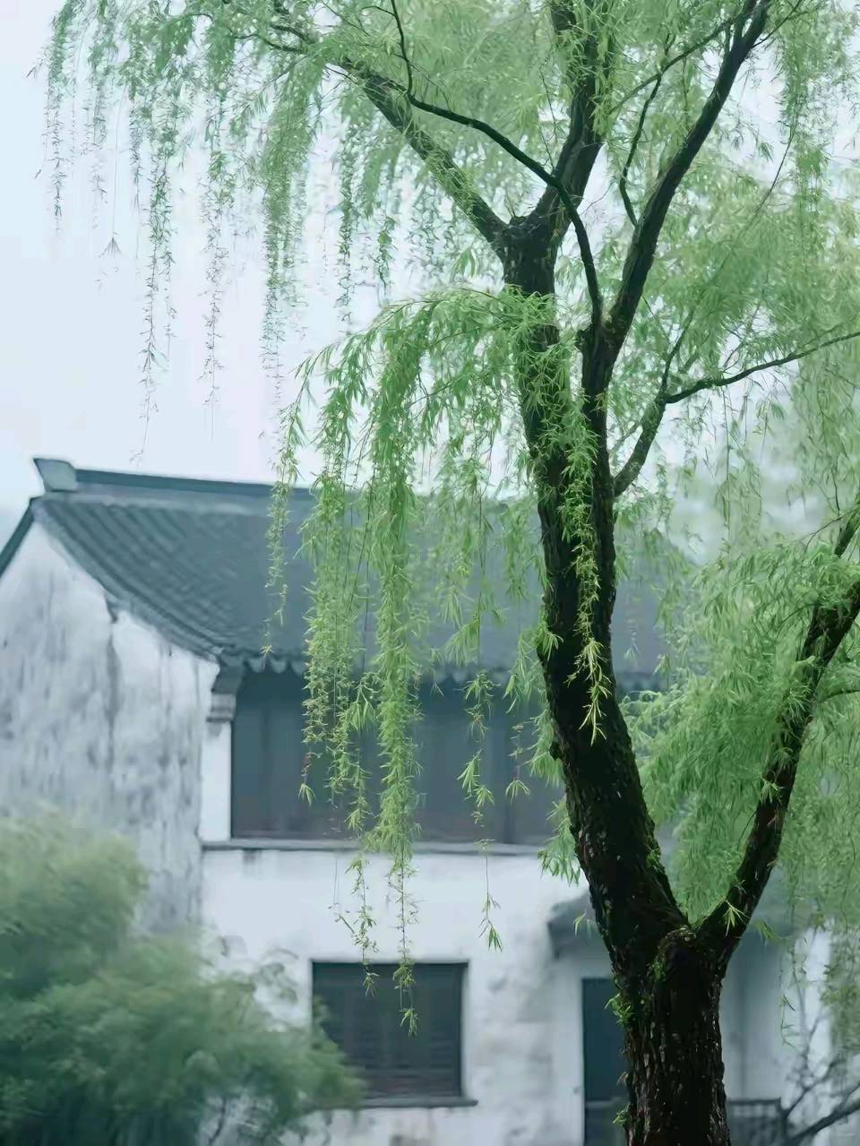 【故道文化】总第6717期合集（图16）
