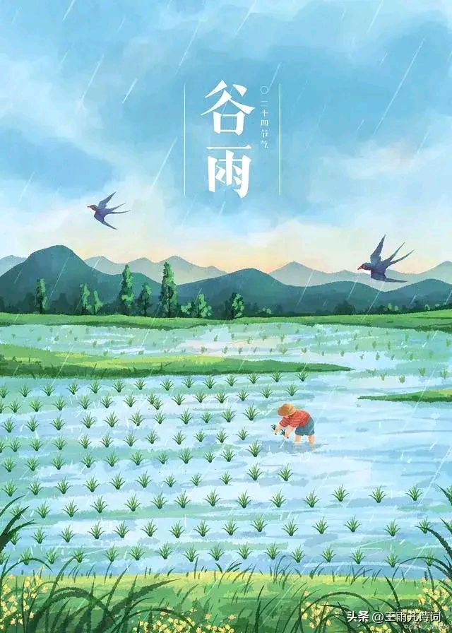 谷雨之后，布谷鸟会来文／明长春/江苏滨海/南京头条（图2）