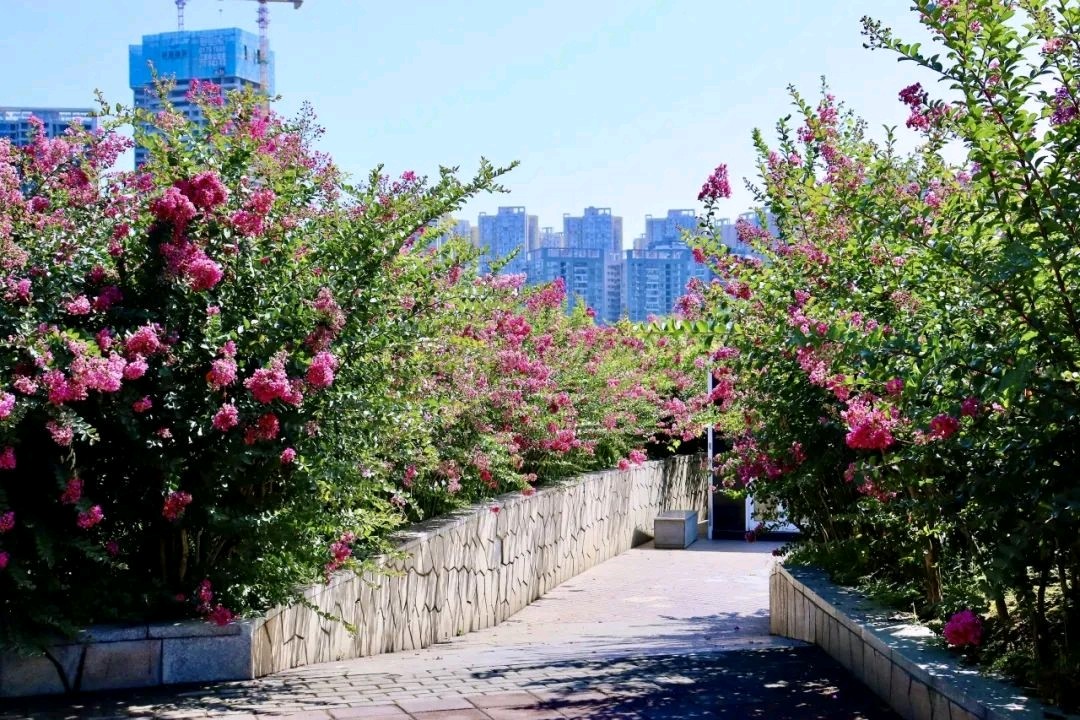 国风吉林社诗人郑占荣（河北）格律诗词2025年第八期【总第二十七期】—北京头条（图13）