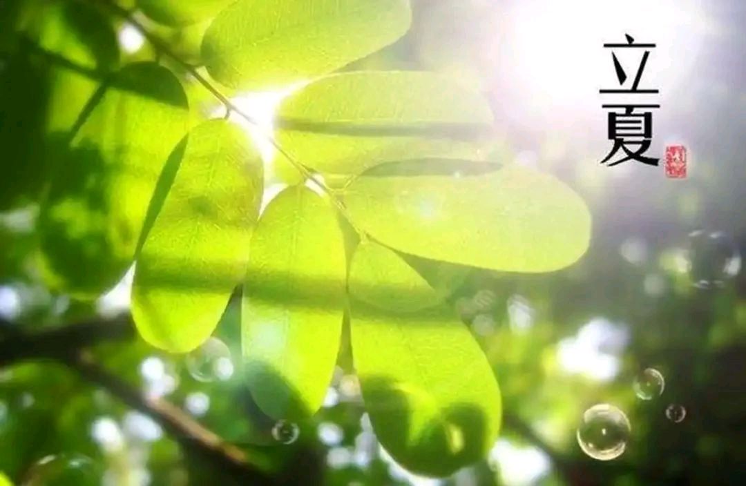 七绝～立夏文/卫水居士（图3）